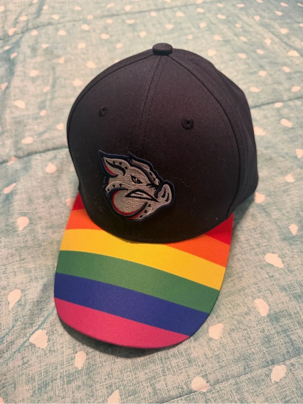 Adult Iron Pigs Rainbow Stripe Brim Baseball Cap. MUST BE BUNDLED
